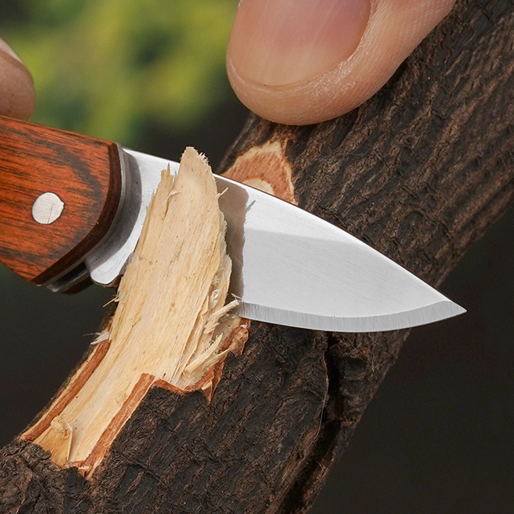Small Keychain Pocket Knife Ev - مراجعة Edc Day Carry وسعره